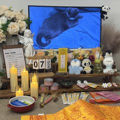 宠物家长客户见证
